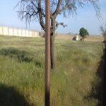 Satılır Torpaq, Masazır, Abşeron rayonu 2
