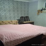 Kirayə (aylıq) 1 otaqlı Həyət evi/villa, 28 May metrosu, Nəsimi rayonu 3