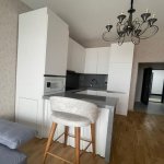 Kirayə (aylıq) 1 otaqlı Yeni Tikili, 28 May metrosu, Nəsimi rayonu 3