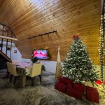 Kirayə (günlük) 3 otaqlı Həyət evi/villa, Buzovna, Xəzər rayonu 8