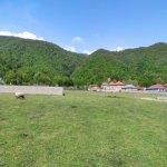 Satılır Torpaq Qəbələ 29