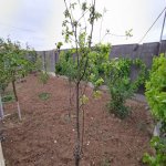 Satılır 3 otaqlı Həyət evi/villa, Binə qəs., Xəzər rayonu 8