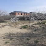 Satılır Torpaq Sumqayıt 5