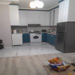 Kirayə (aylıq) 2 otaqlı Yeni Tikili, Memar Əcəmi metrosu, Nəsimi rayonu 11