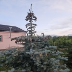 Посуточно 4 комнат Дома/Виллы Гусар 9
