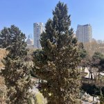Kirayə (aylıq) 3 otaqlı Köhnə Tikili, 28 May metrosu, Nəsimi rayonu 1