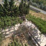 Продажа 7 комнат Дача, Горадиль, Абшерон район 4