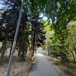 Satılır 5 otaqlı Köhnə Tikili, Azadlıq metrosu, Binəqədi rayonu 2
