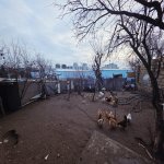 Продажа 4 комнатная Дома/Виллы, м. Дярнягюль метро, 7-ой микрорайон, Бинагадинский р-н район 4