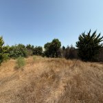 Satılır Torpaq, Mərdəkan, Xəzər rayonu 2