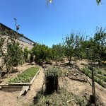 Satılır Torpaq, Mərdəkan, Xəzər rayonu 3