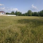 Satılır Torpaq Qəbələ 2