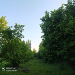 Satılır Torpaq Qəbələ 3