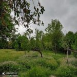 Продажа Участок Гябяля 6