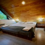 Kirayə (günlük) 3 otaqlı Həyət evi/villa Qəbələ 3