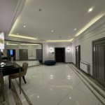 Kirayə (aylıq) 3 otaqlı Yeni Tikili, Gənclik metrosu, Nəsimi rayonu 6