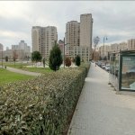 Kirayə (aylıq) 2 otaqlı Yeni Tikili, Nəriman Nərimanov metrosu, Heydər Əliyev Mərkəzi, Nərimanov rayonu 9