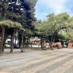 Продажа 1 комнат Вторичка, м. Ази Асланова метро, Ахмедли, Хетаи район 15