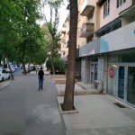 Kirayə (aylıq) 5 otaqlı Ofis, Elmlər akademiyası metrosu, Yasamal rayonu 22