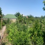 Kirayə (aylıq) 5 otaqlı Bağ evi, Abşeron rayonu 10