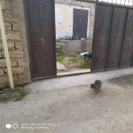 Satılır 3 otaqlı Həyət evi/villa, Yeni Günəşli qəs., Suraxanı rayonu 1