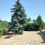 Kirayə (günlük) 4 otaqlı Həyət evi/villa Quba 23