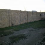 Satılır Torpaq, Saray, Abşeron rayonu 3