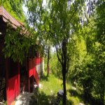Satılır 3 otaqlı Həyət evi/villa İsmayıllı 7