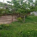 Satılır 4 otaqlı Bağ evi Mingəçevir 17