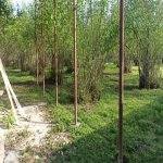 Satılır 4 otaqlı Həyət evi/villa Qəbələ 20