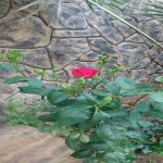 Satılır 4 otaqlı Həyət evi/villa, Lökbatan qəs., Sədərək ticarət mərkəzi, Qaradağ rayonu 6