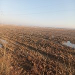 Satılır Torpaq, Pereküşkül, Abşeron rayonu 2
