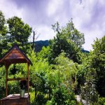 Kirayə (günlük) 3 otaqlı Həyət evi/villa Zaqatala 14