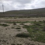 Satılır Torpaq, Goradil, Abşeron rayonu 7