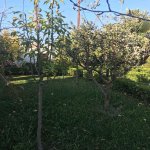 Satılır 7 otaqlı Həyət evi/villa, Novxanı, Abşeron rayonu 2