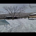 Kirayə (günlük) 3 otaqlı Həyət evi/villa Qəbələ 9