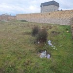 Satılır Torpaq, Goradil, Abşeron rayonu 10