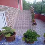 Kirayə (günlük) 3 otaqlı Həyət evi/villa Qəbələ 16