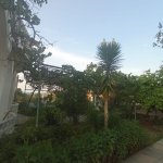 Satılır Torpaq, Novxanı, Abşeron rayonu 2