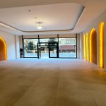 Kirayə (aylıq) Obyekt, Gənclik metrosu, Nərimanov rayonu 1