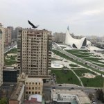 Kirayə (aylıq) 3 otaqlı Yeni Tikili, Nəriman Nərimanov metrosu, Nərimanov rayonu 11