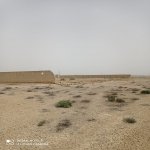 Satılır Torpaq, Ələt qəs., Qaradağ rayonu 1