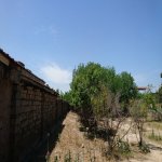 Продажа Участок, Горадиль, Абшерон район 8
