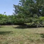 Satılır Torpaq, Masazır, Abşeron rayonu 13