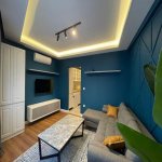 Kirayə (günlük) 2 otaqlı Yeni Tikili, 28 May metrosu, Nəsimi rayonu 5
