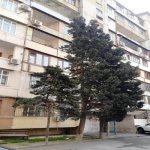 Satılır 3 otaqlı Köhnə Tikili, Neftçilər metrosu, Bakıxanov qəs., Sabunçu rayonu 1