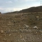 Satılır Torpaq, Lökbatan qəs., Qaradağ rayonu 1