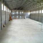 Kirayə (aylıq) Obyekt, Abşeron rayonu 1