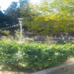 Kirayə (aylıq) Obyekt Sumqayıt 4