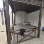 Kirayə (günlük) 4 otaqlı Bağ evi, Mərdəkan, Xəzər rayonu 7
